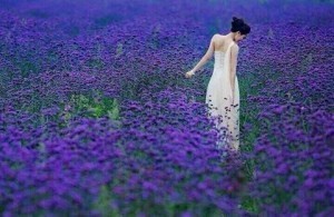 I have no idea who originally took this amazing photo, but it wasn't me.