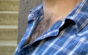 hairytriangle.jpg