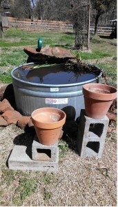 Week12: Horse Trough Pond Under Construction