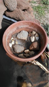 Week12: Pickerel Rush Pot
