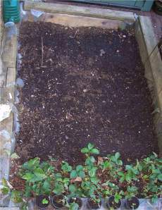 My humble vegetable patch, where each year I aim to try to develop my gardening skills, by growing at least some of my own food. Yet, even in my most successful years, it's never going to provide more than a few meals.