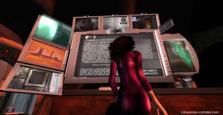 selinakyle-in-the-batcave-workstation1