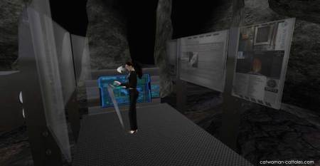 selinakyle-in-the-batcave-datawell
