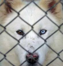  photo images1_zpse7e509b4.jpg