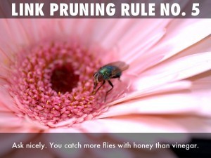 link pruning - ask nicely