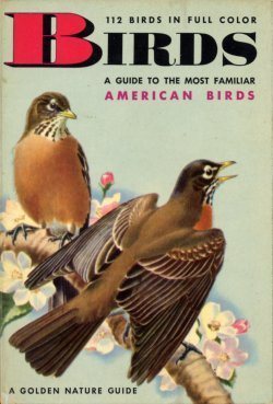 birds_02