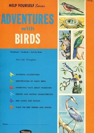 adventures-birds