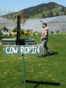Cow Ropin'