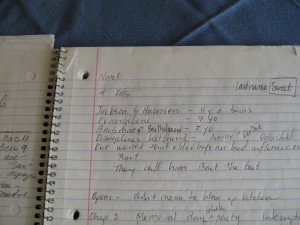 ©Rochelle Melander; Journal for Novel