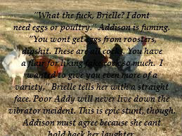  photo RoostersforNotHiding_zps8fb20436.jpg