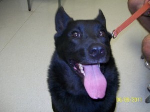 Compact, strong, and ready for anything, right?