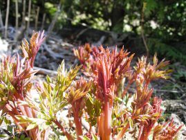 ???????????????????????????????