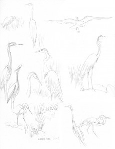 2014-05-04 Brookside heron