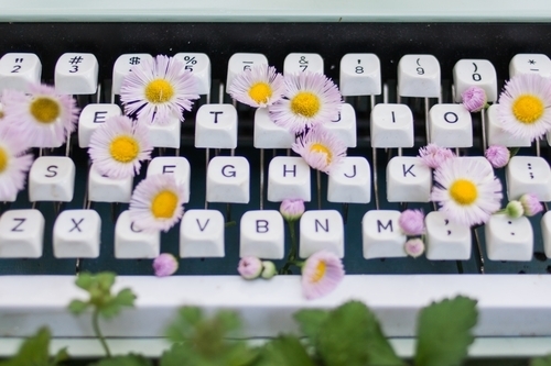 flowertypewriter1.JPG