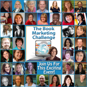 book marketing challenge 2014