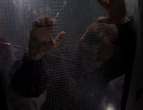 Millennium Walkabout 1