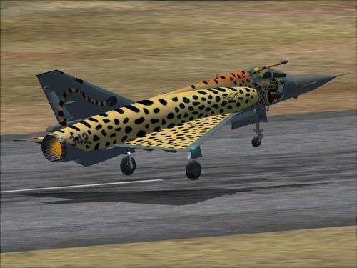 Atlas Cheetah