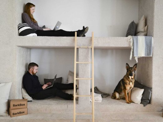 barkbox-office