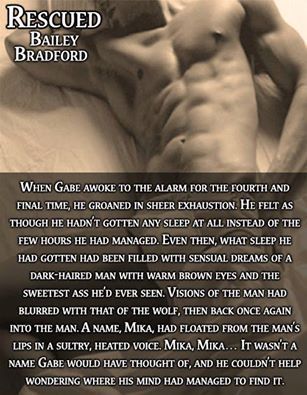 And, the final promo pic to share from Dreams Come True Promotions, in preparation for the book tour coming up, with an excerpt from Rescued. Thank you for these, DCTP, they are all lovely.