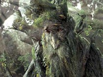 treebeard