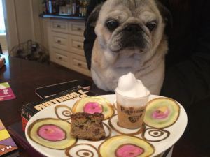 Akemi's doggy carrot cake and puguccino (peanut butter and sweet potato-based ice cream)