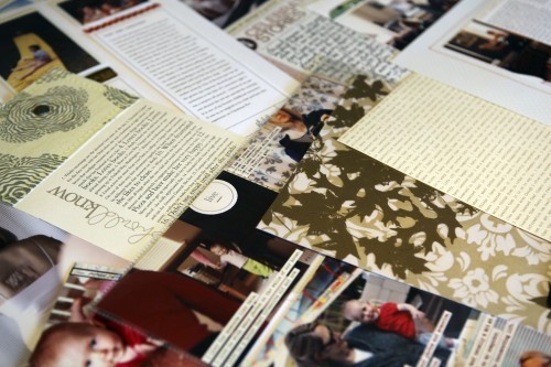 YT_W13_AllLayoutsPhoto