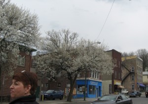 Ithaca Spring 050314