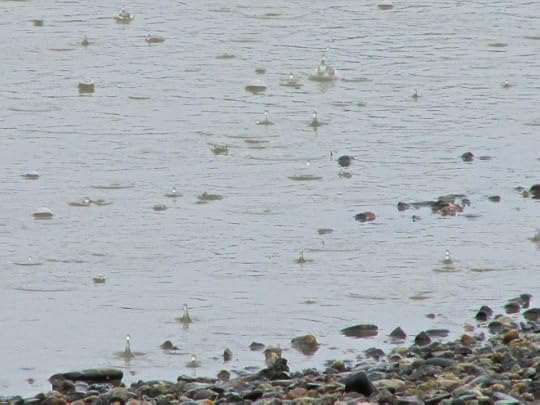 IMG_2023 - Version 2