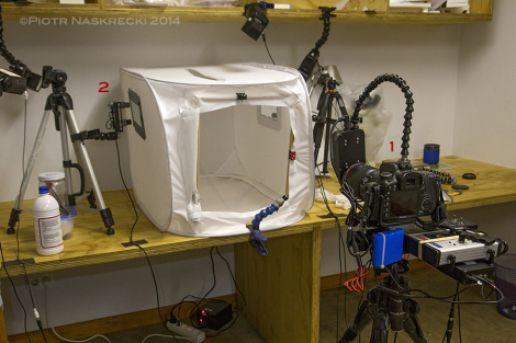A studio setup for photographing bats in flight: (1) Cognisys high speed shutter, mounted on Canon 100mm lens; (2) a laser and a laser beam sensor (an identical but vertically reversed set is positioned on the opposite side of the box).