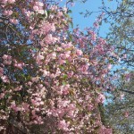 2014-05-03 09.31.45