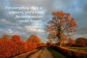 Everything has a time and season