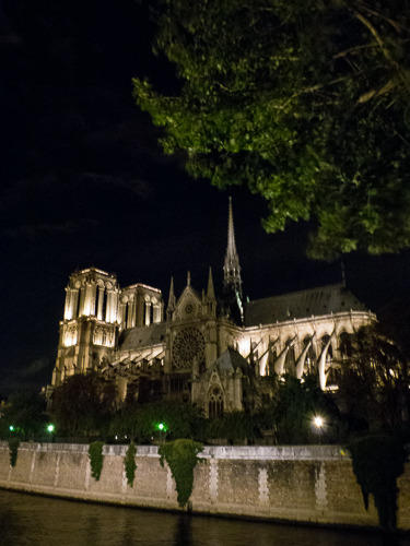 Notre-Dame Across the Seine