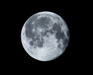 Moon-Tim Rainey
