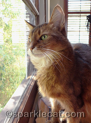 Saying good-bye to my human - and not sorry to see her off