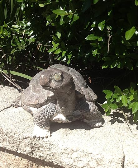 Fred The turtle
