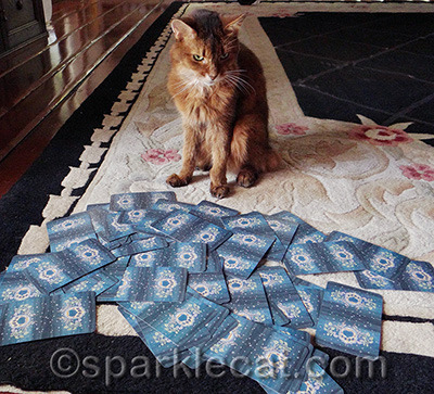 This is how a kitty does it - it also keeps from warping the cards