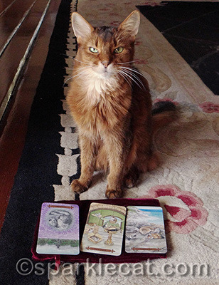 You always get the cards you deserve!