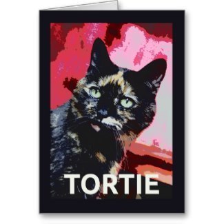 TORTIE Tortoiseshell Cat Card