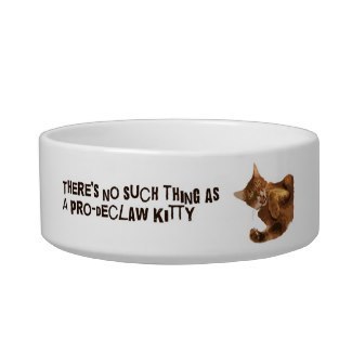 No Declaw Kitty Cat Food Bowl