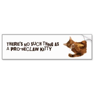 No Declaw Kitty Bumper Sticker
