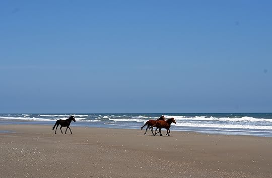 Vacation in the Outer Banks