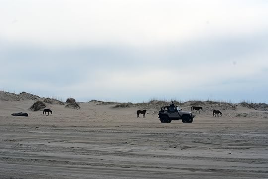 Vacation in the Outer Banks