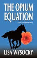 http://www.amazon.com/The-Opium-Equation-Enright-Mystery/dp/1935270060/ref=pd_sim_b_1?ie=UTF8&refRID=0CXQJKDGJ7V81HZ1NN4D