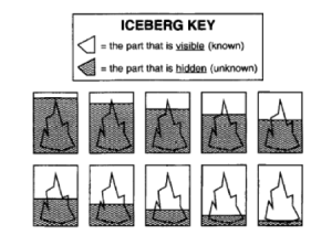 Icebergs from the Pross and Ronin Study