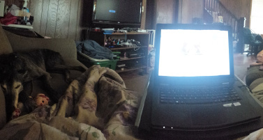 workspace