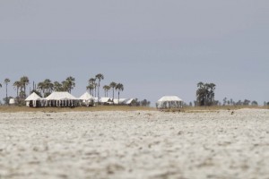 SanCamp77