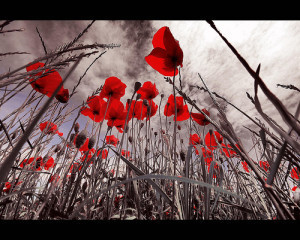 Lest we Forget.
