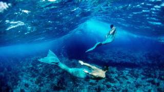 Photobucket Pictures, Images and Photos