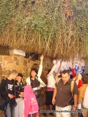 St. Catherine's Monastery, burning bush, Egypt
