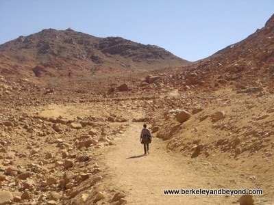 trail up Mt. Sinai, at St. Catherine's Monastery, Egypt
